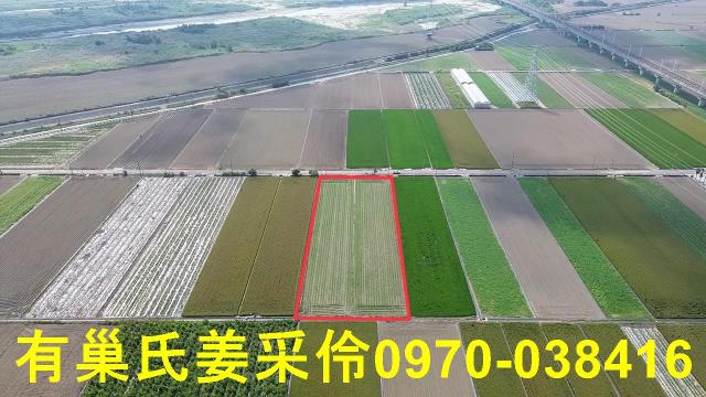 嘉義鹿草農地-6