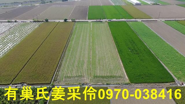 嘉義鹿草農地-7