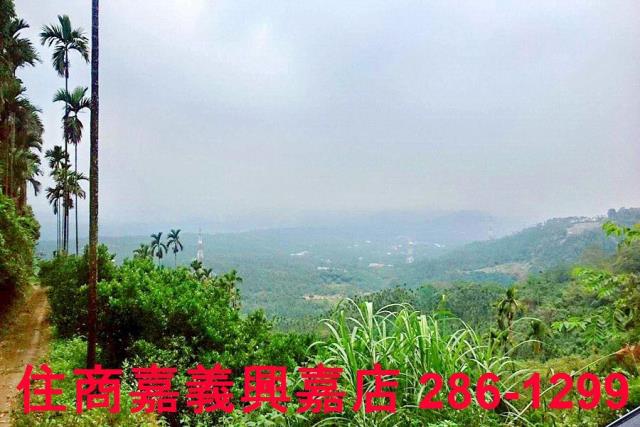 番路農地-10