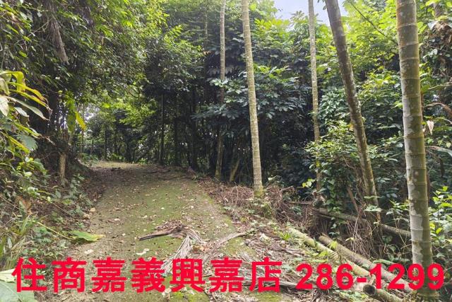番路農地-1