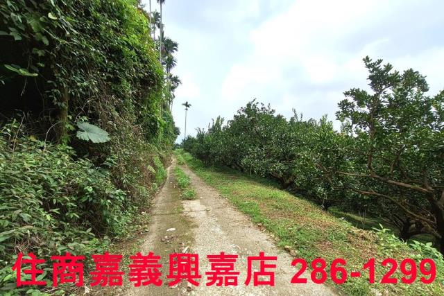 番路農地-2