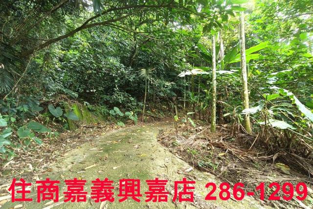 番路農地-3