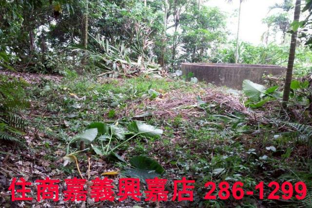 番路農地-4