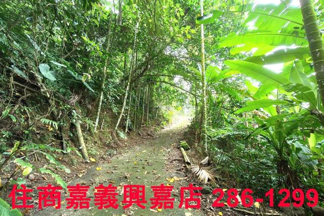 番路農地-6