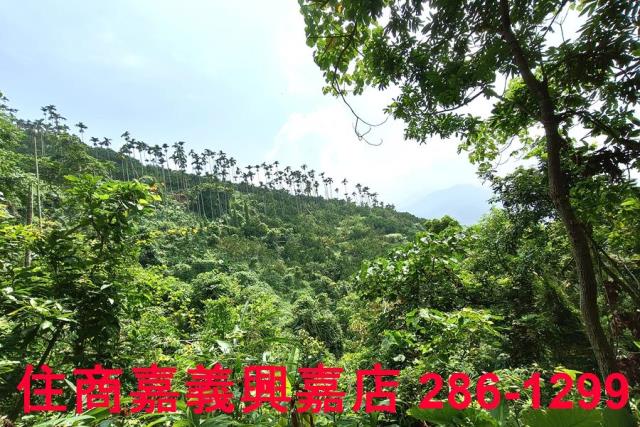 番路農地-7
