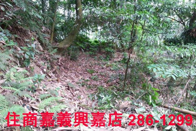 番路農地-8