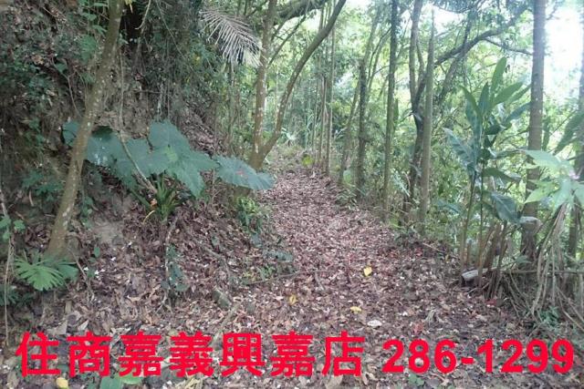番路農地-9