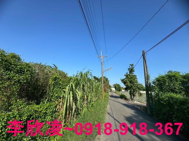 民雄農地-1
