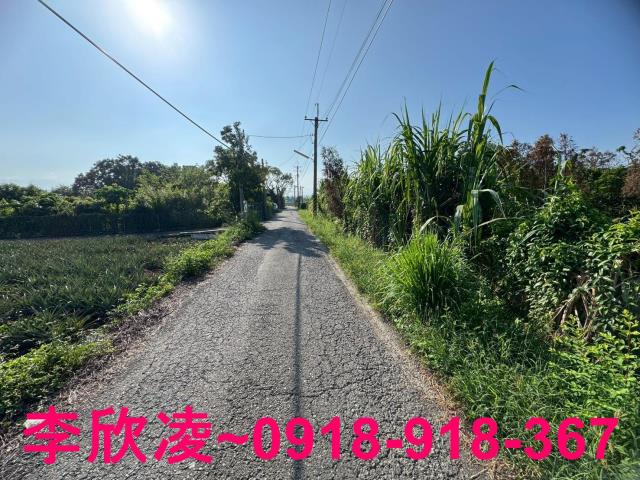 民雄農地-2