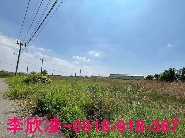 布袋農地-1