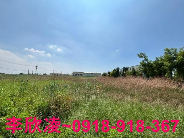布袋農地-4
