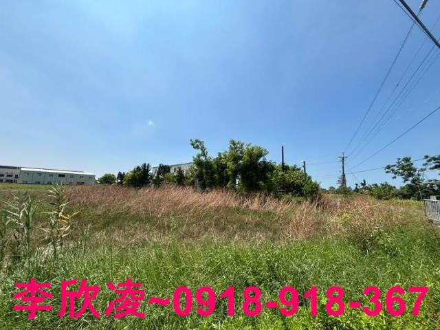 布袋農地-5