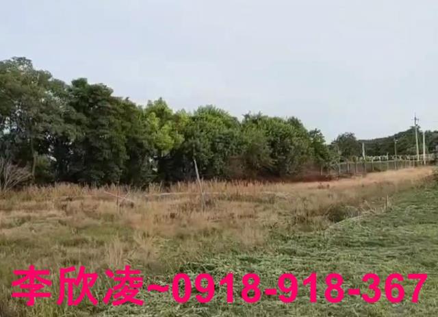 西區農地-2