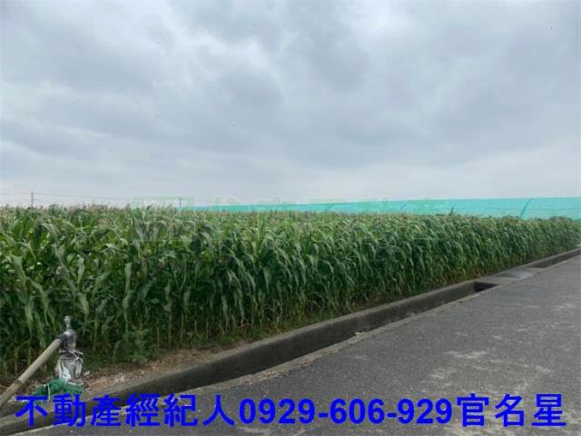 嘉義太保建地-8