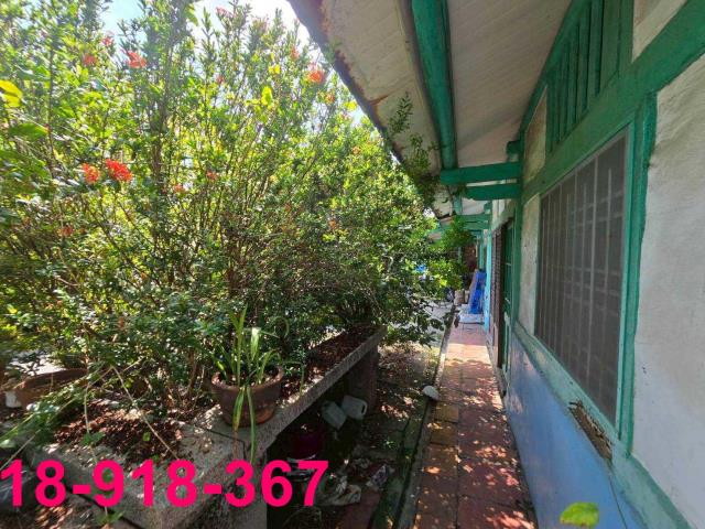 嘉義溪口建地-10