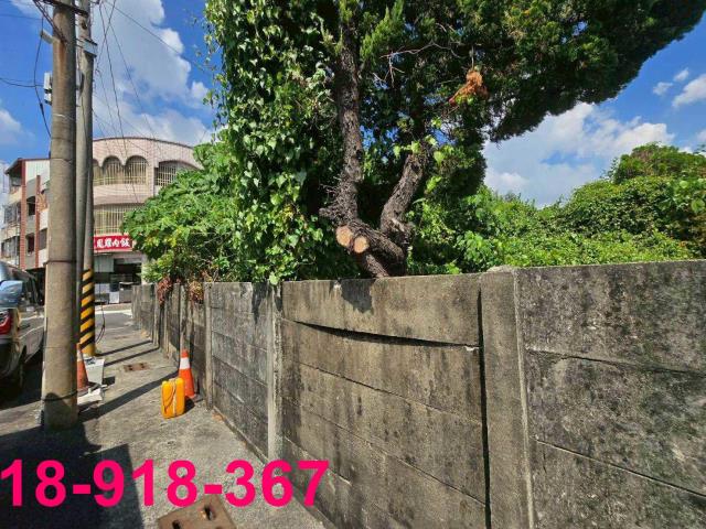 嘉義溪口建地-6