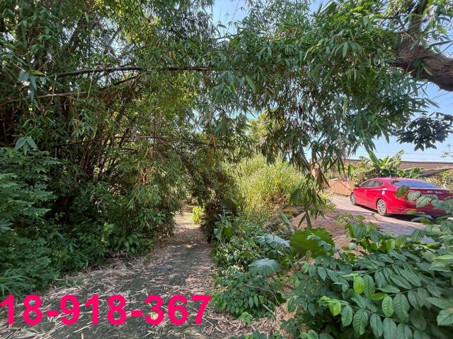 嘉義大林建地-1