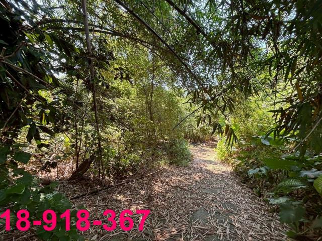 嘉義大林建地-2