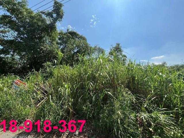 嘉義大林建地-3