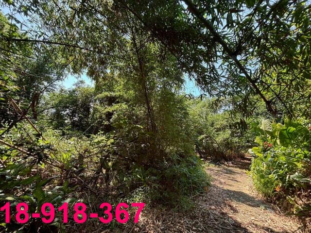 嘉義大林建地-4