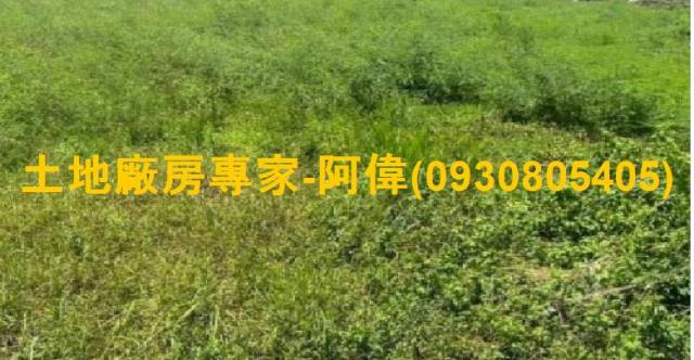 高雄大寮農地-1