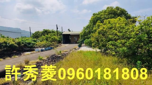 高雄阿蓮農地-5