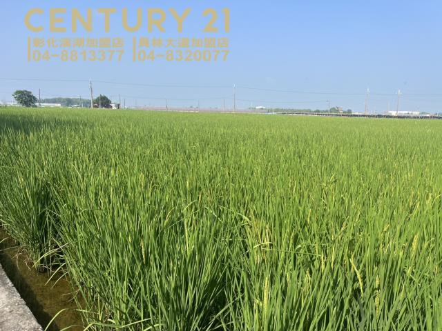 竹塘農地-1