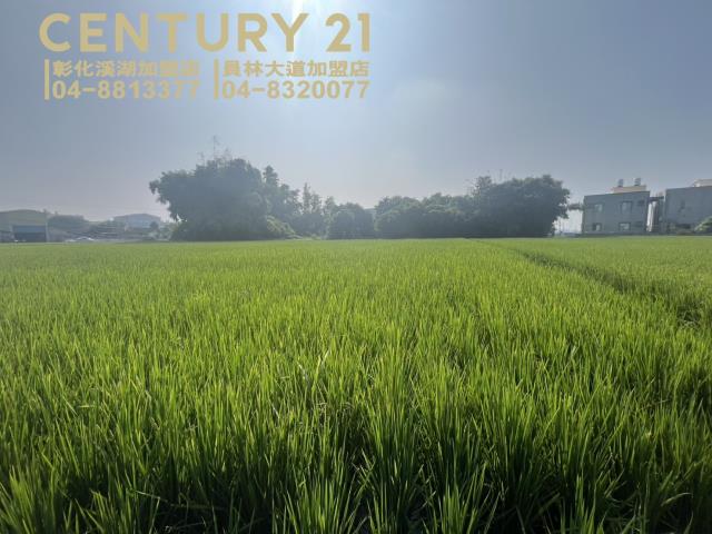 竹塘農地-4
