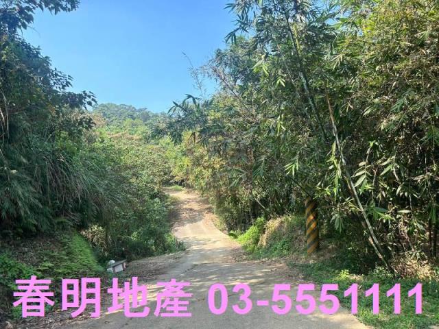 苗栗三灣農地-11