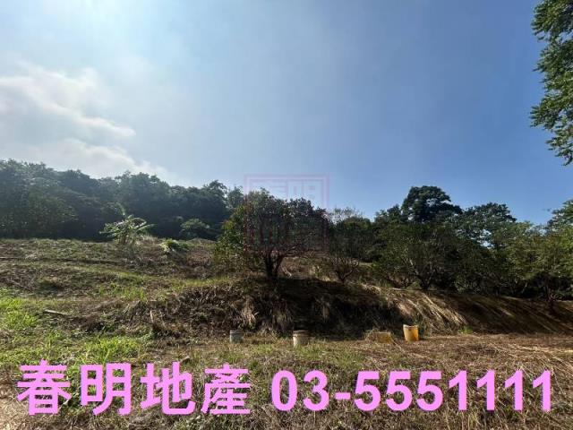 苗栗三灣農地-12