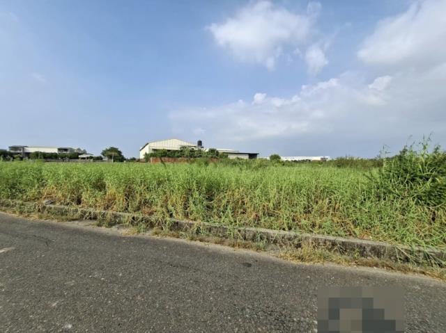 台南永康農地-6