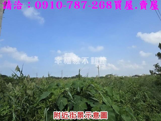 將軍建地-4
