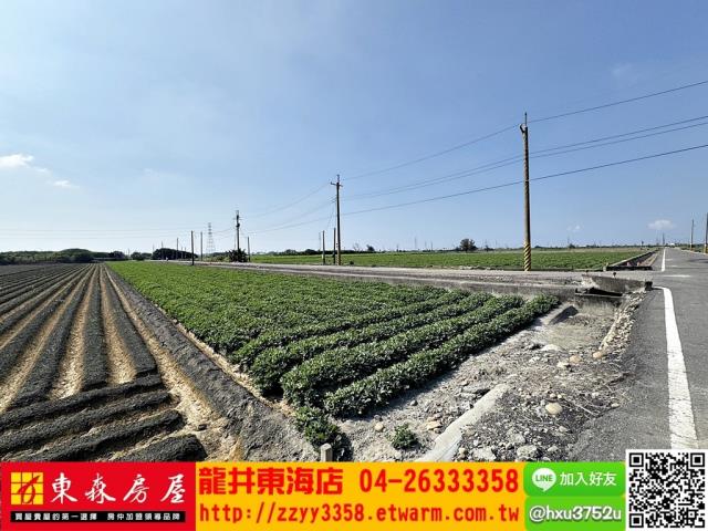 四湖農地-2