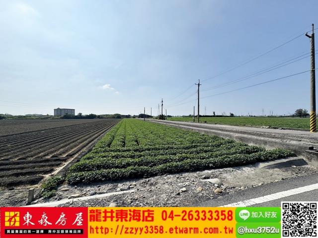 四湖農地-3