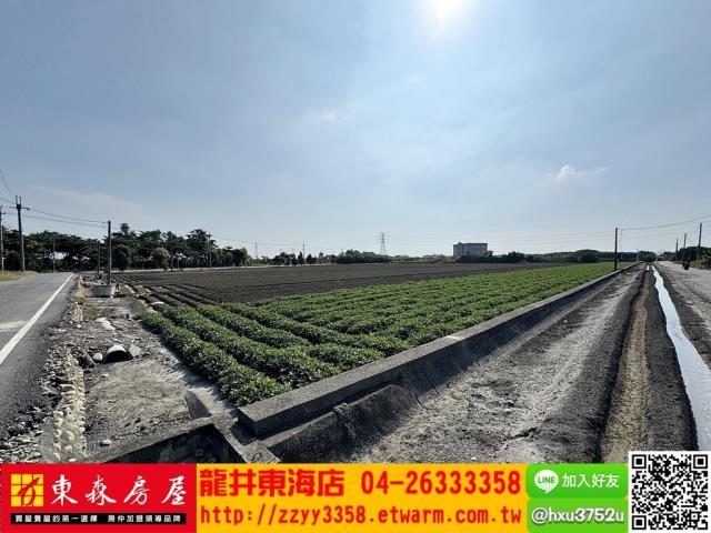 四湖農地-4