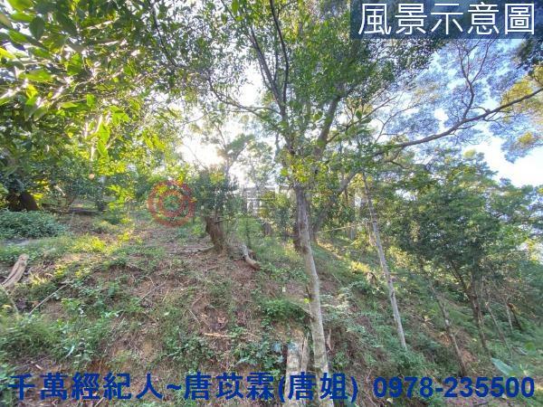北區山坡地-3