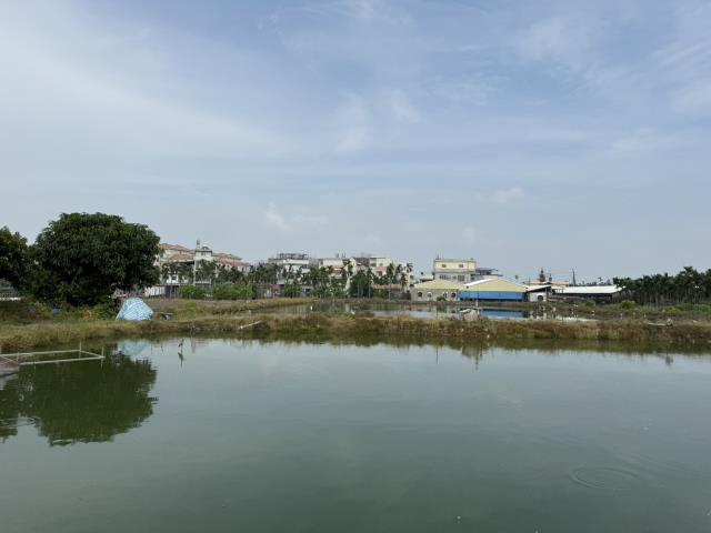 屏東竹田農地-5