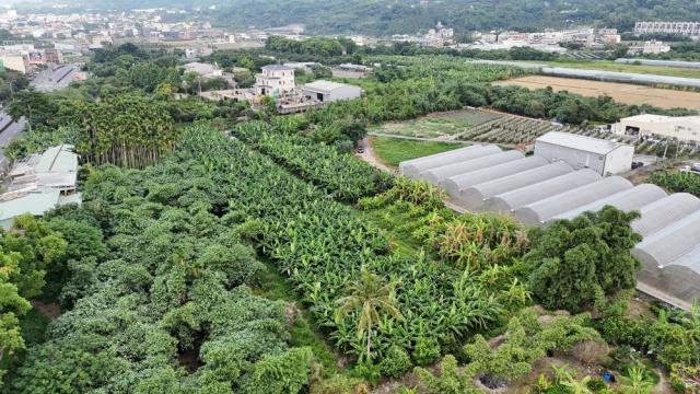 草屯農地-2