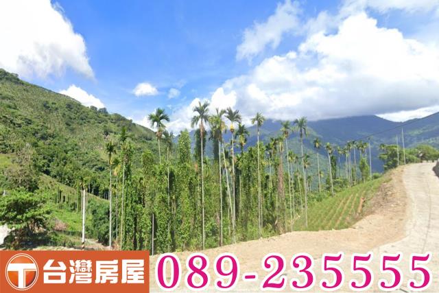 台東太麻里農地-3