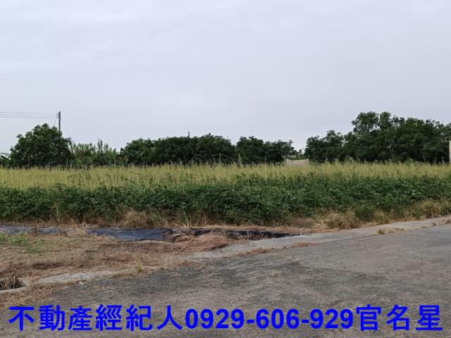 嘉義太保建地-2