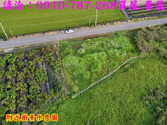 東山農地-4