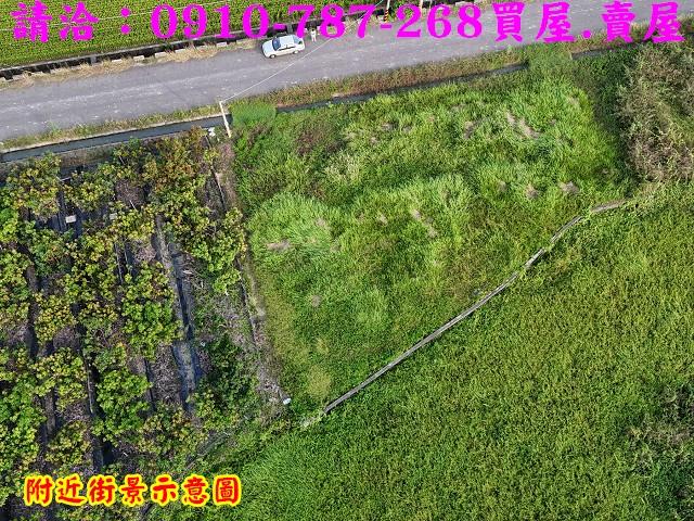 東山農地-5