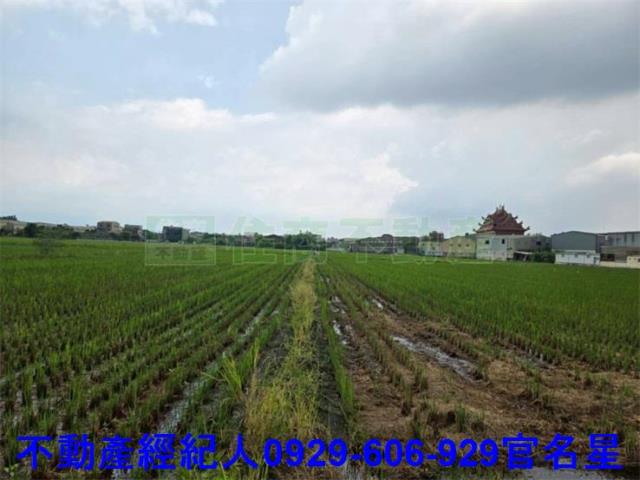 嘉義農地-1