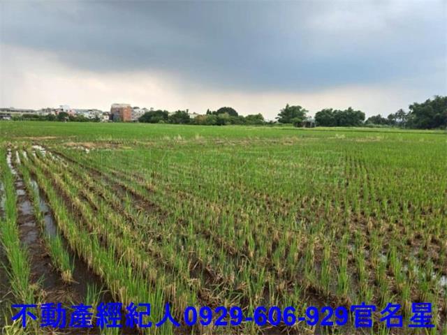嘉義農地-5