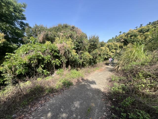 台中太平農地-11