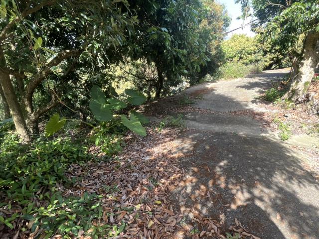 台中太平農地-12