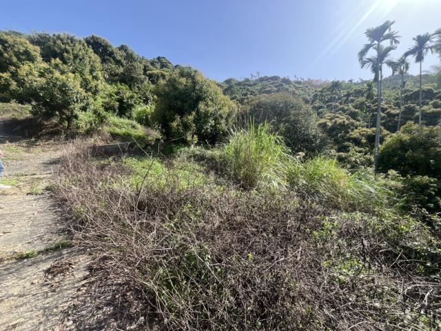 台中太平農地-1