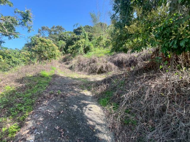 台中太平農地-8