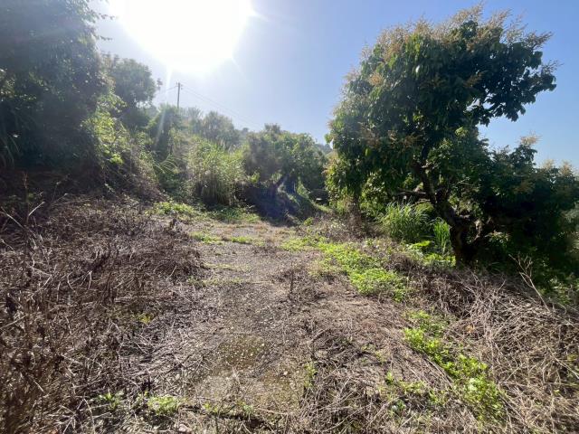 台中太平農地-9