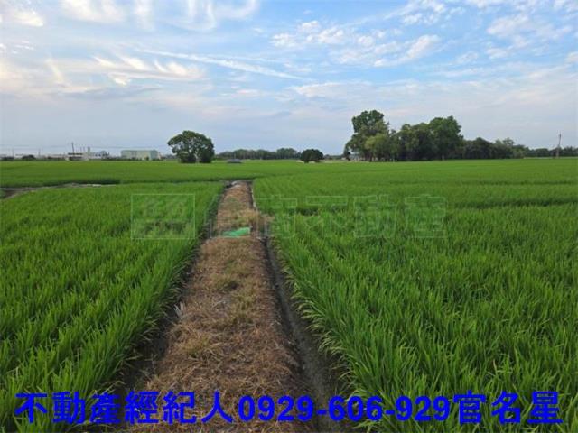 嘉義西區農地-2